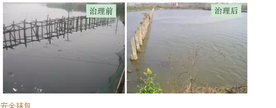 河道黑臭水質微生物改善技術- 河道黑臭水質微生物改善技術-