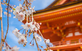 村鎮污水處理市場前景可觀,未來千億規模值得把握!- 村鎮污水處理市場前景可觀,未來千億規模值得把握!-