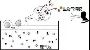 污水廠內的生物氣溶膠怎么產生，污水從業人員如何做好防護？-