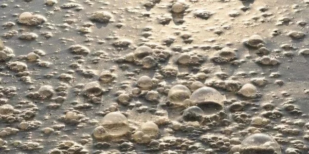 污水廠內的生物氣溶膠怎么產生，污水從業人員如何做好防護？-