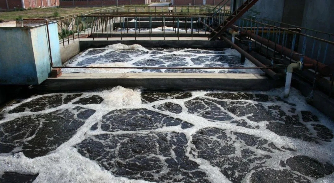 住建部：如何應對新冠病毒從馬桶到水環境的潛在傳輸途徑？