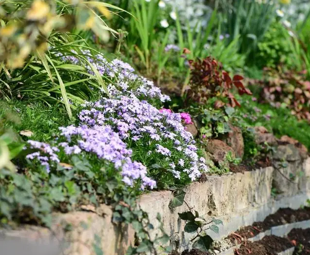 南北花園給排水問(wèn)題差異大，你知道嗎？-