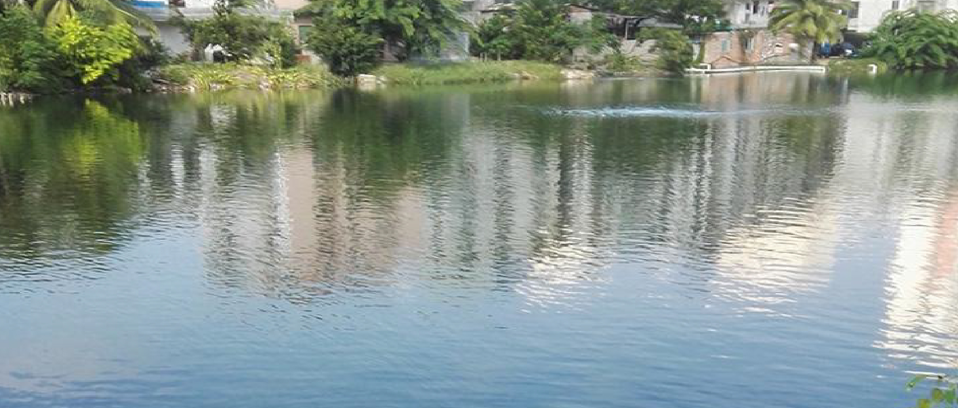 2023黑臭水體整治新動作不斷！問題到底怎么破？